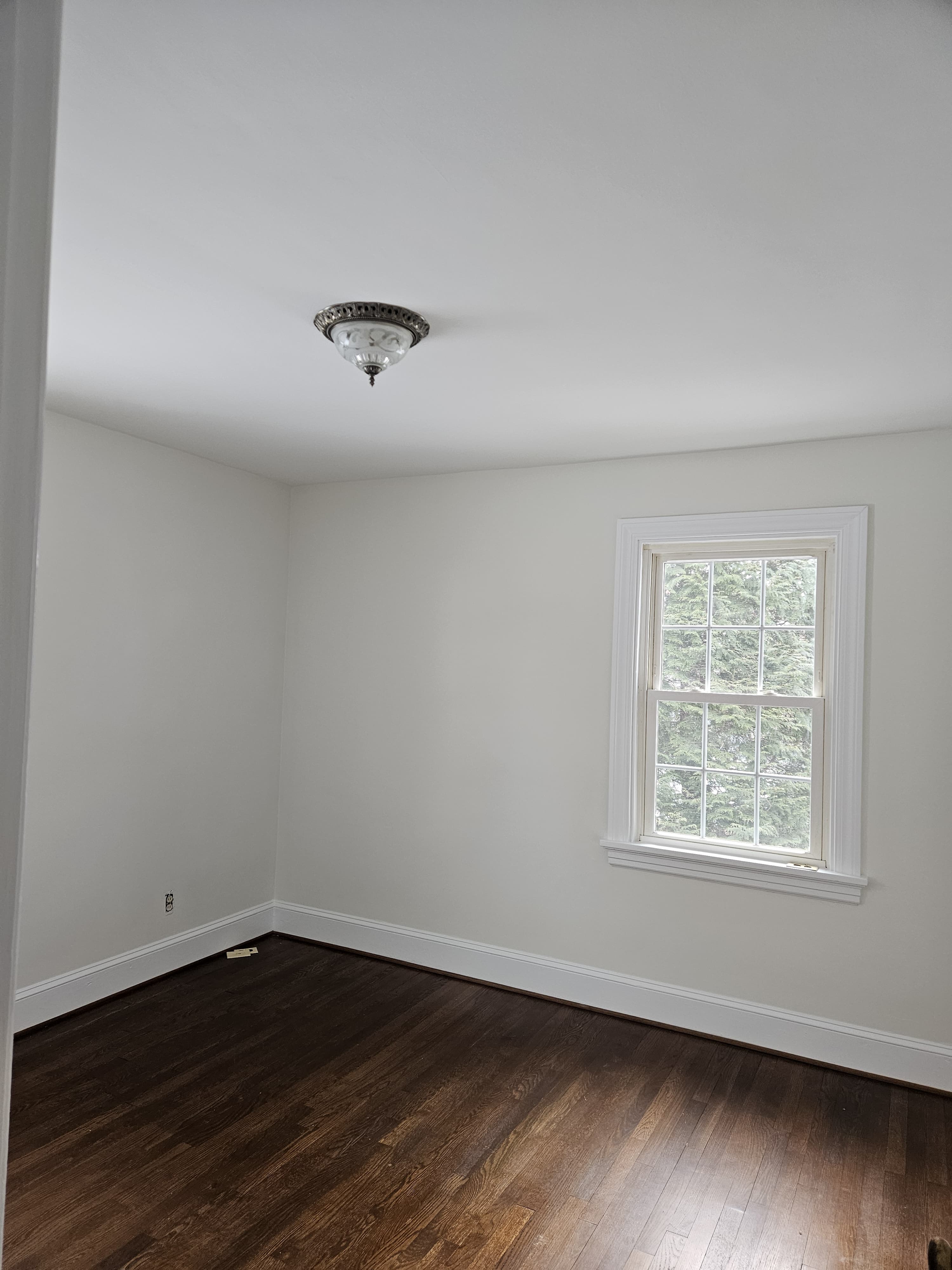 Interior painting project